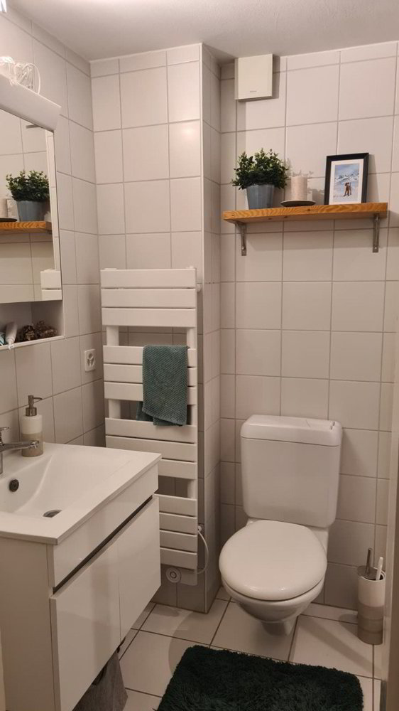 Appartamento di 2 locali in affitto a Berne - immagine 1/6