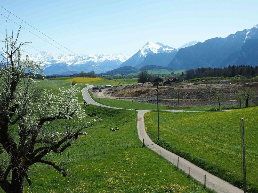 Appartamento di 3.5 locali in affitto a Thierachern - immagine 1/6