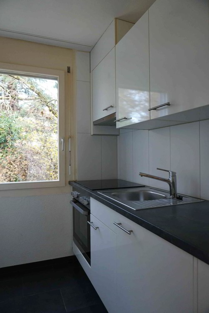 1 Zimmer Wohnung zu vermieten in Derendingen - Bild 1/4
