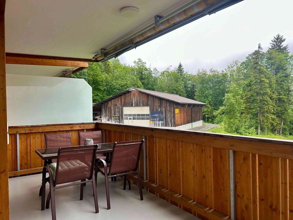 Appartamento di 3.5 locali in affitto a Kandersteg - immagine 1/7