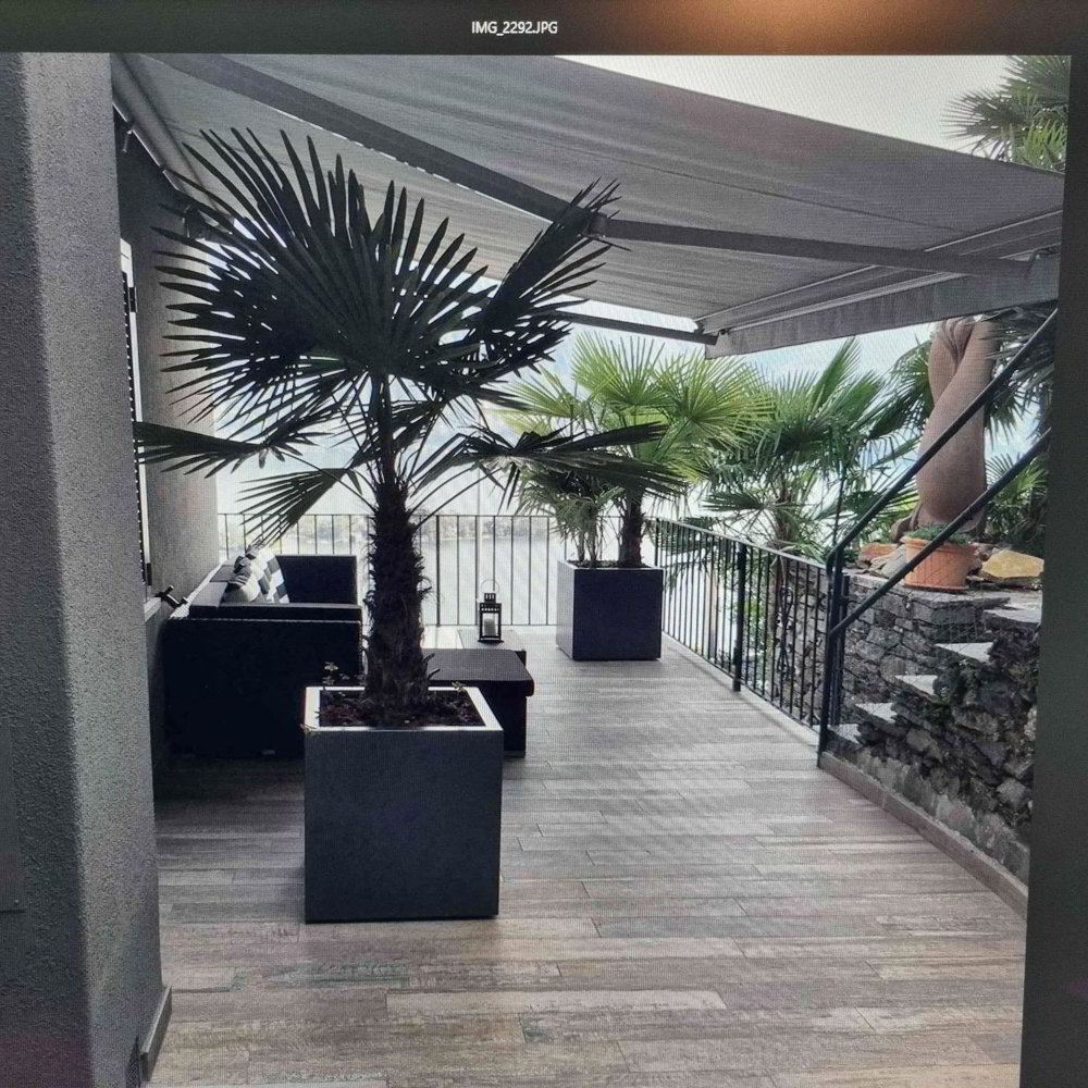 Appartement 3.5 pièces à louer à Ronco sopra Ascona - image 1/12