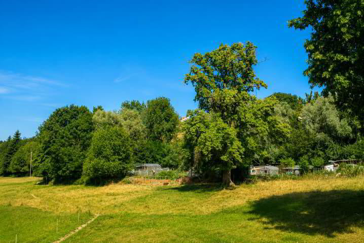 null rooms Land to buy in Romont FR - image 1/1