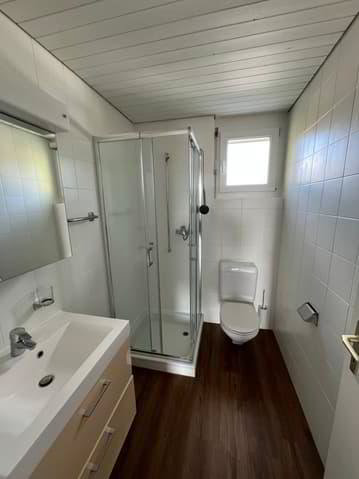 4.5 rooms Apartment for rent in Lengnau BE - image 1/13