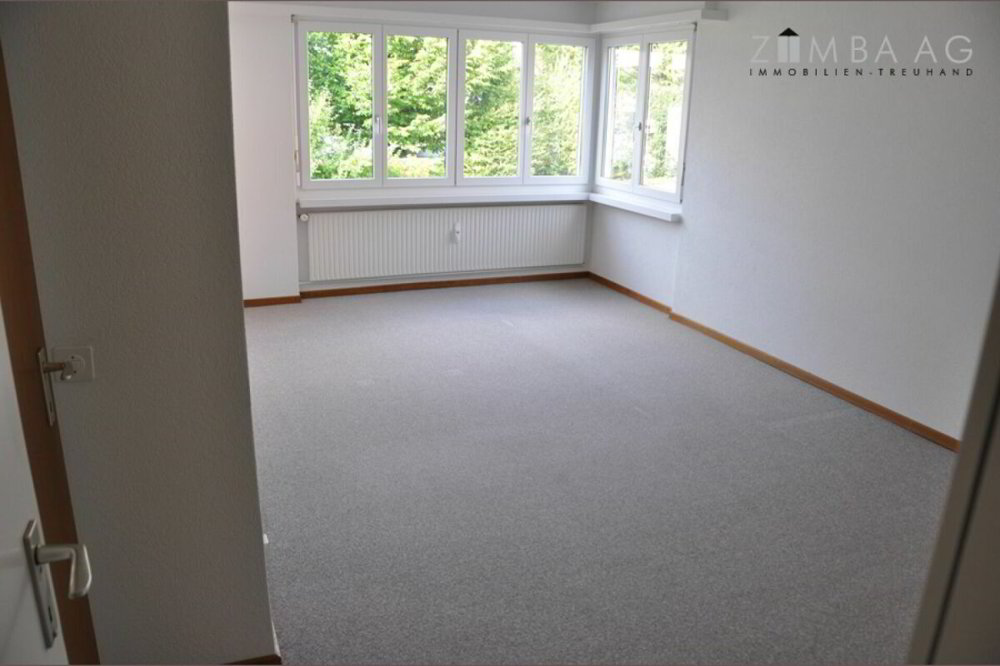 Appartement 4.5 pièces à louer à Sulgen - image 1/22