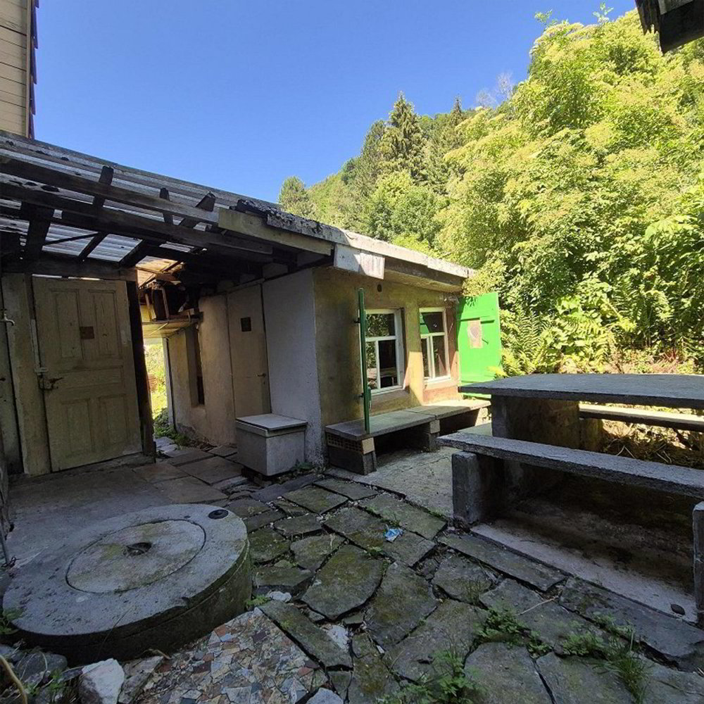 5.5 Zimmer Haus zum verkaufen in Alt St. Johann - Bild 1/26