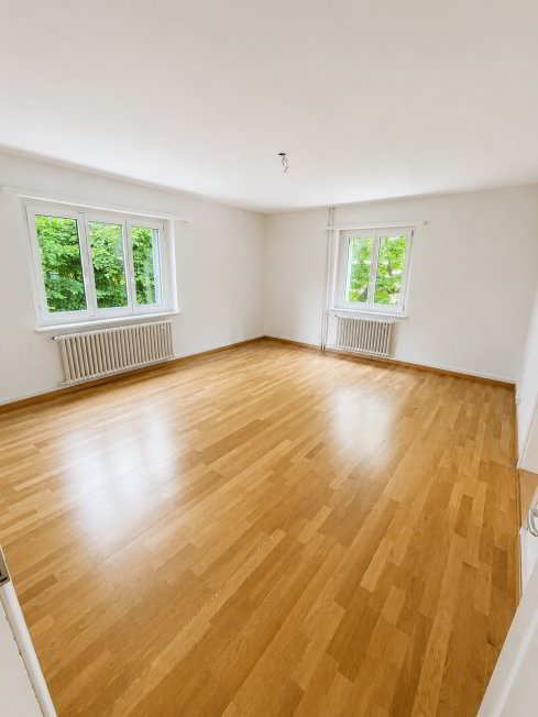 Appartamento di 3 locali in affitto a Zurich - immagine 1/1