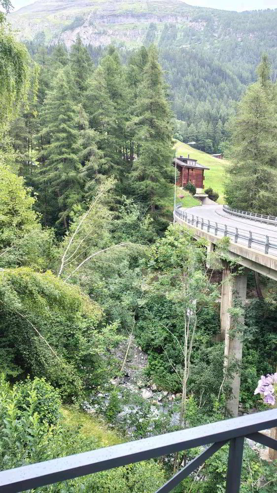 Traditionsreiches Restaurant „Chesa“ im Herzen von Leukerbad - Ansicht 3
