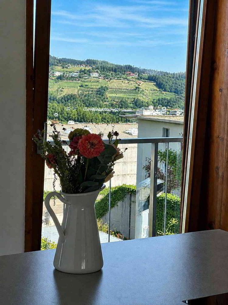 Wohnung – St. Gallen - Ansicht 2