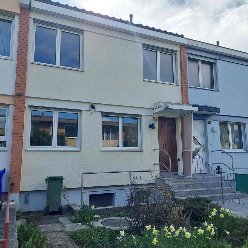 Haus – Therwil, Bezirk Arlesheim
