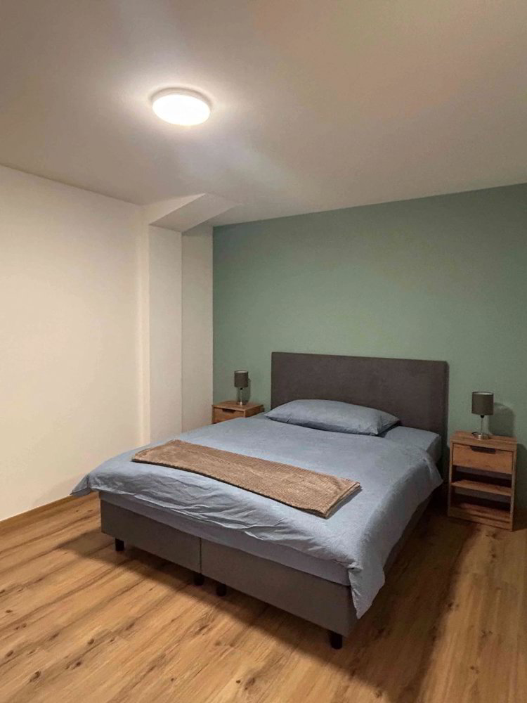 Appartement 1 pièces à louer à Tavanasa - image 1/7