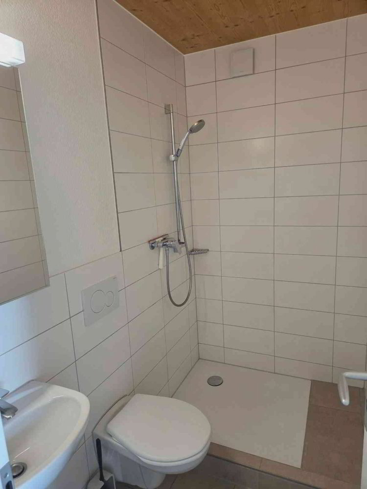 Appartamento di 1.5 locali in affitto a Hunzenschwil - immagine 1/4