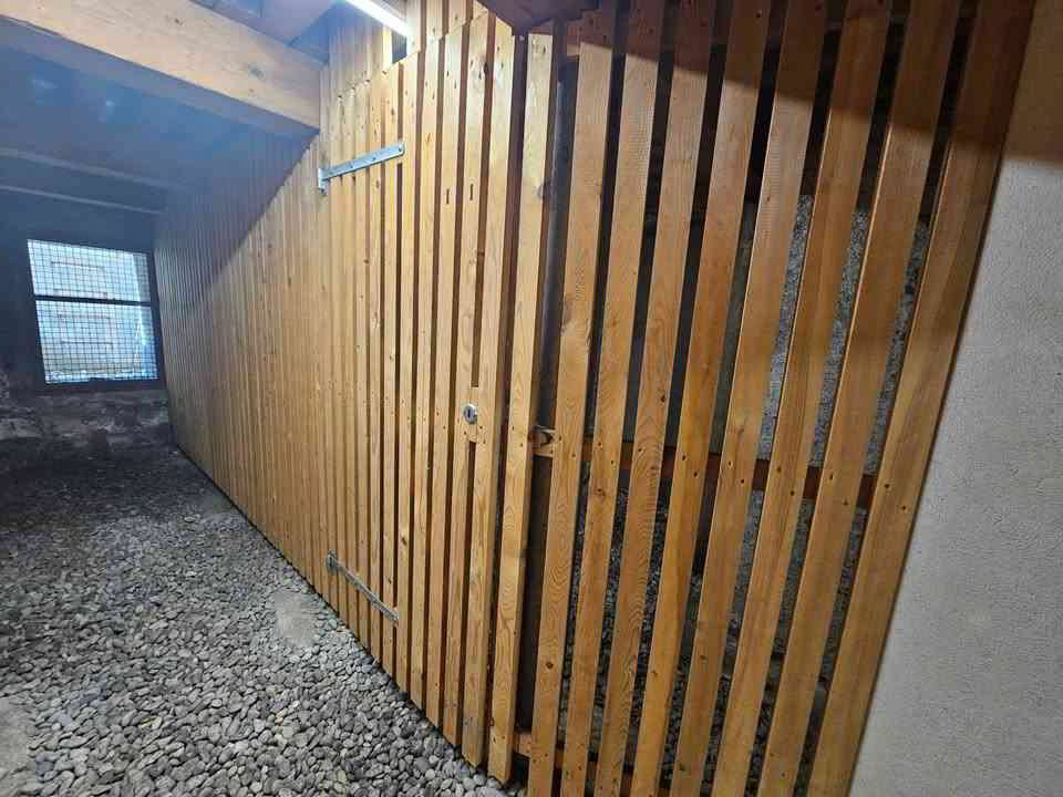 Cave à louer – Quartier des Grottes (3 min à pied de la gare Cornavin) - Ansicht 2