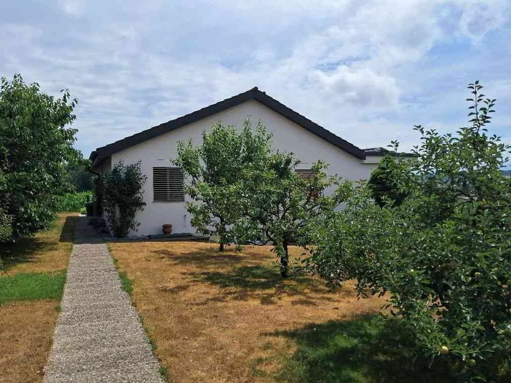 Maison 5 pièces à acheter à Stetten AG - image 1/10