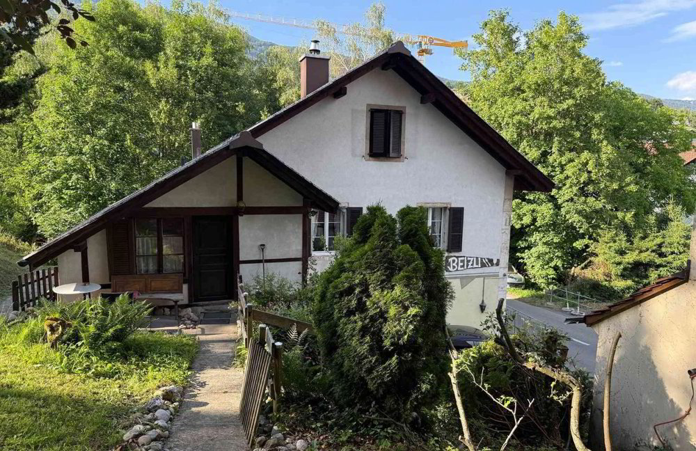Haus – Niederwil SO - Ansicht 4