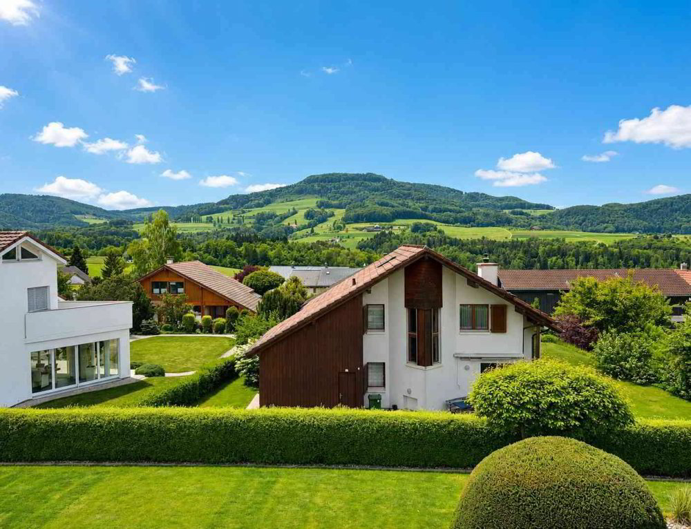 5.5 rooms House to buy in Rünenberg - image 1/13