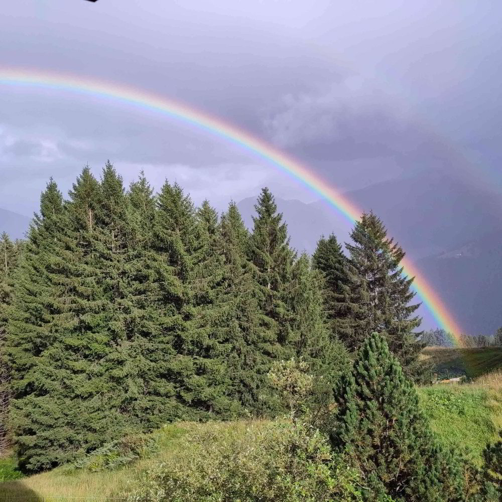 erschlossenes Bauland / Oberurmein (7427 Urmein)