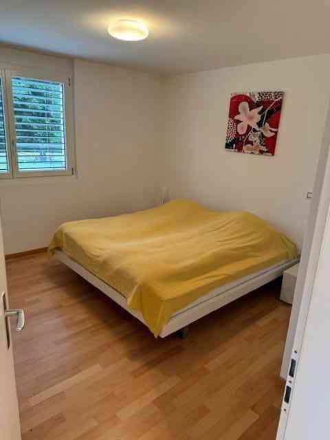 Wohnung – Gambarogno, Orgnana - Mehr