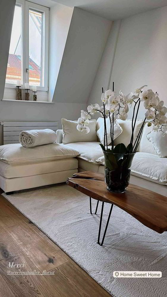 Wohnung – Basel - Ansicht 2