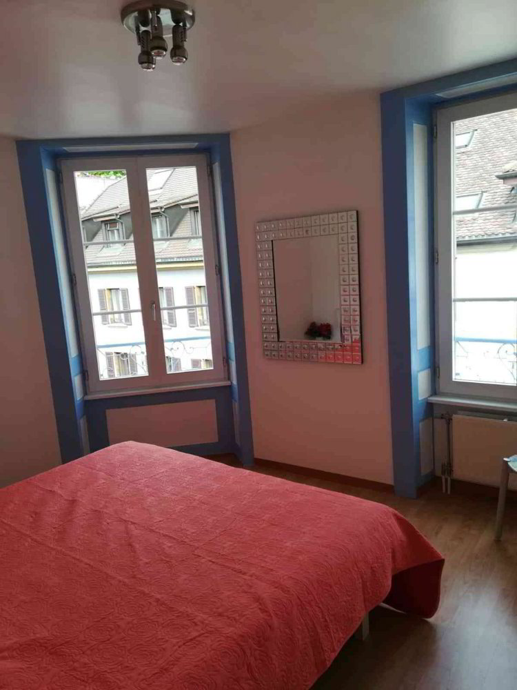 Appartamento di 3 locali in affitto a Neuchâtel - immagine 1/4