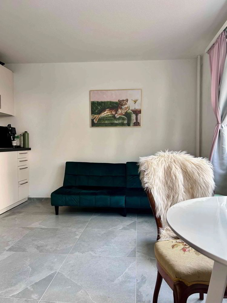 Appartement 2 pièces à louer à Schaffhouse - image 1/9