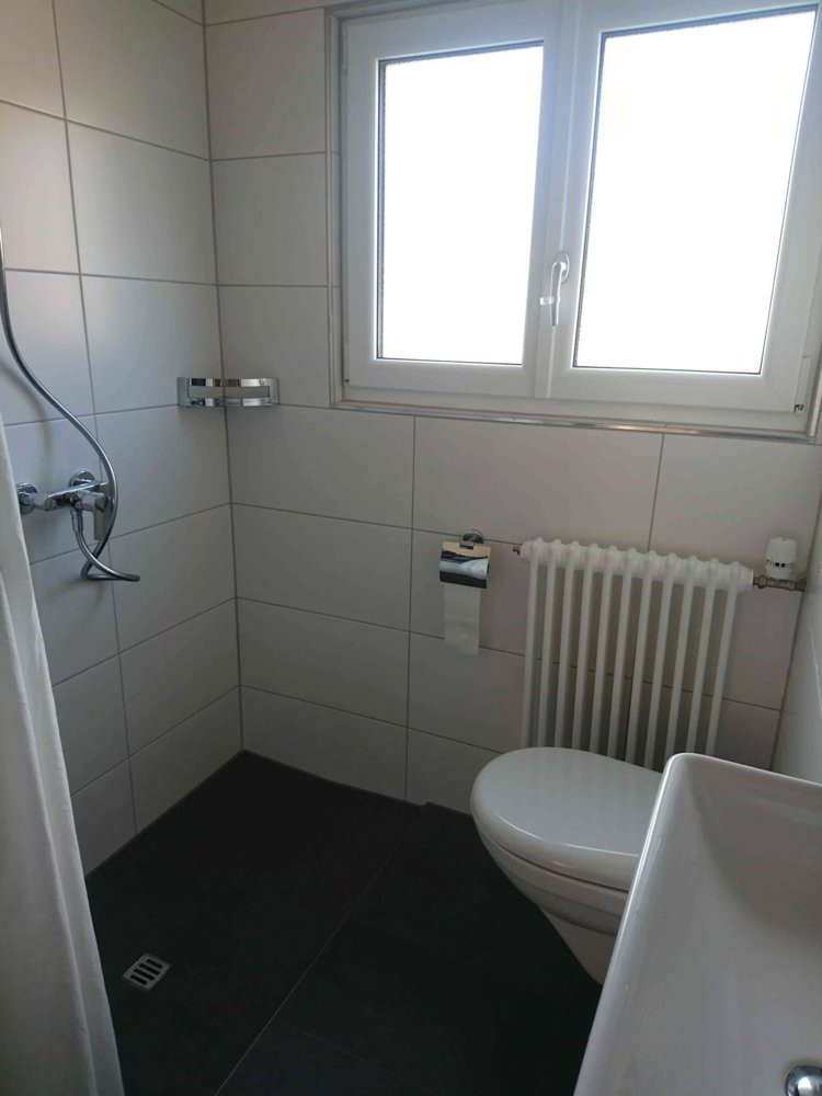 3.5 rooms Apartment for rent in Schachen LU - image 1/7