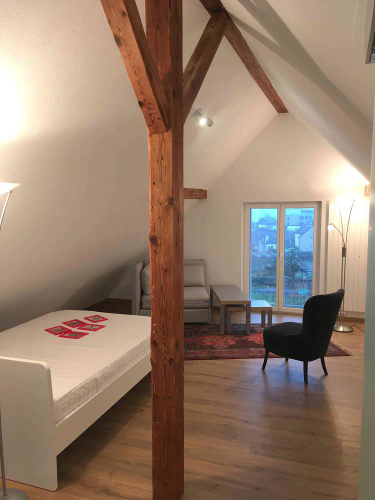1.5 rooms Apartment for rent in Roggwil BE - image 1/6