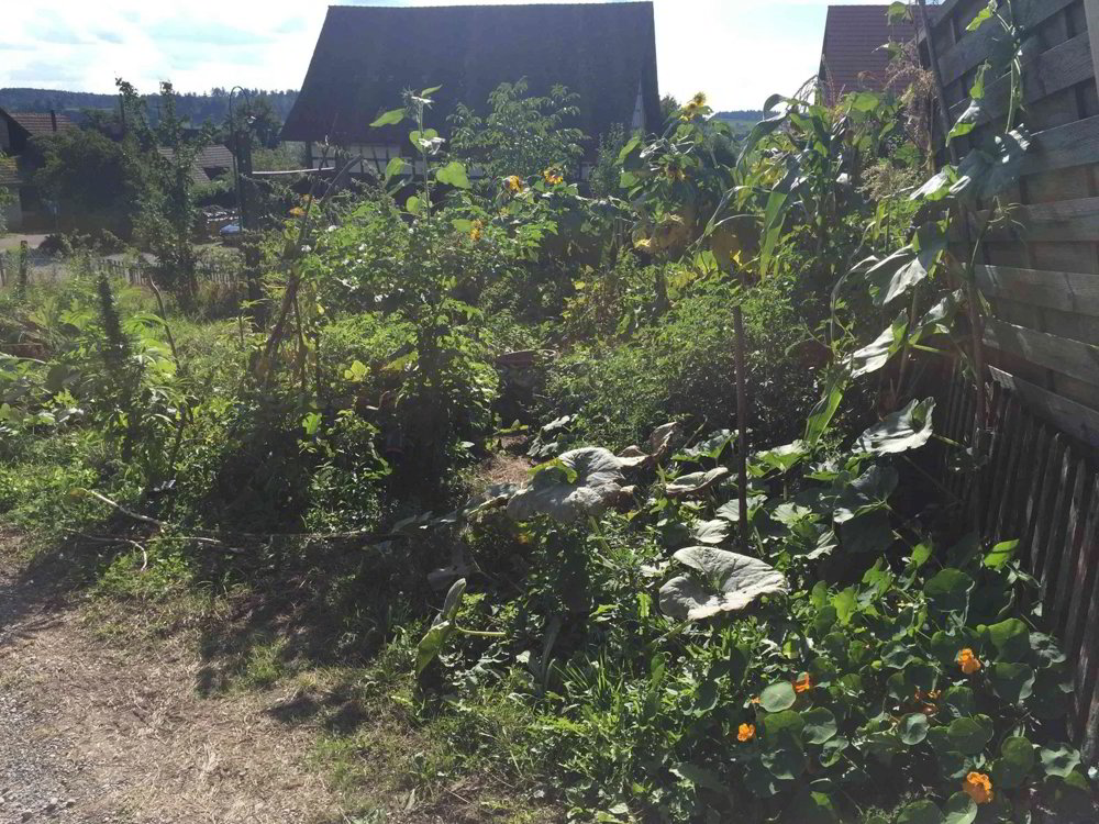 Colocation 7.5 pièces à louer à Unterstammheim - image 1/12
