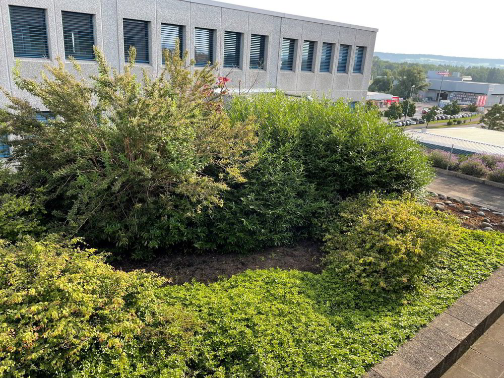 null rooms Office & Commercial for rent in Rümlang - image 1/6