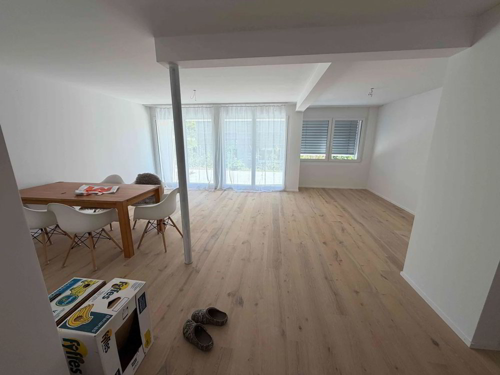 Appartement 3.5 pièces à louer à Schaffhouse - image 1/9