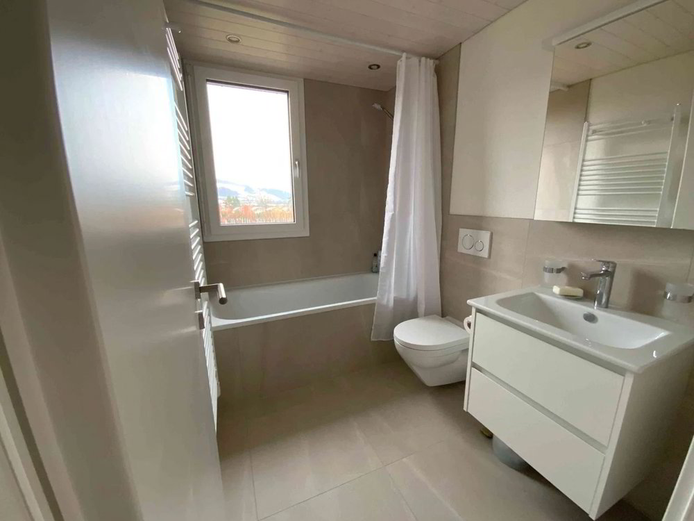Appartement 3 pièces à louer à Schinznach Dorf - image 1/8