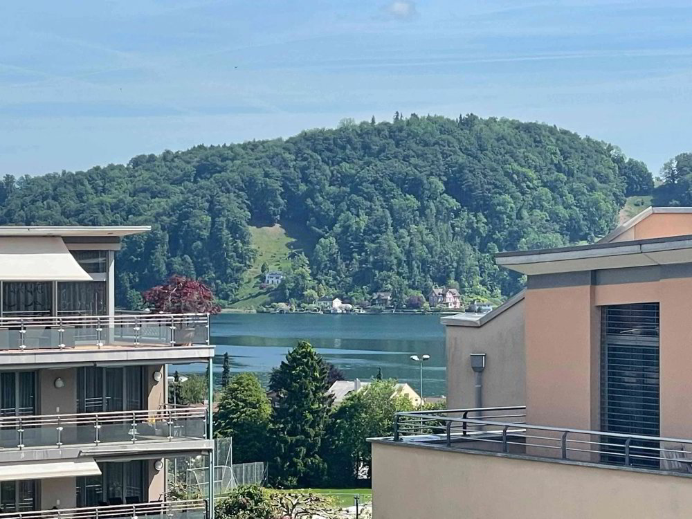5.5 rooms Apartment for rent in Hergiswil NW - image 1/12