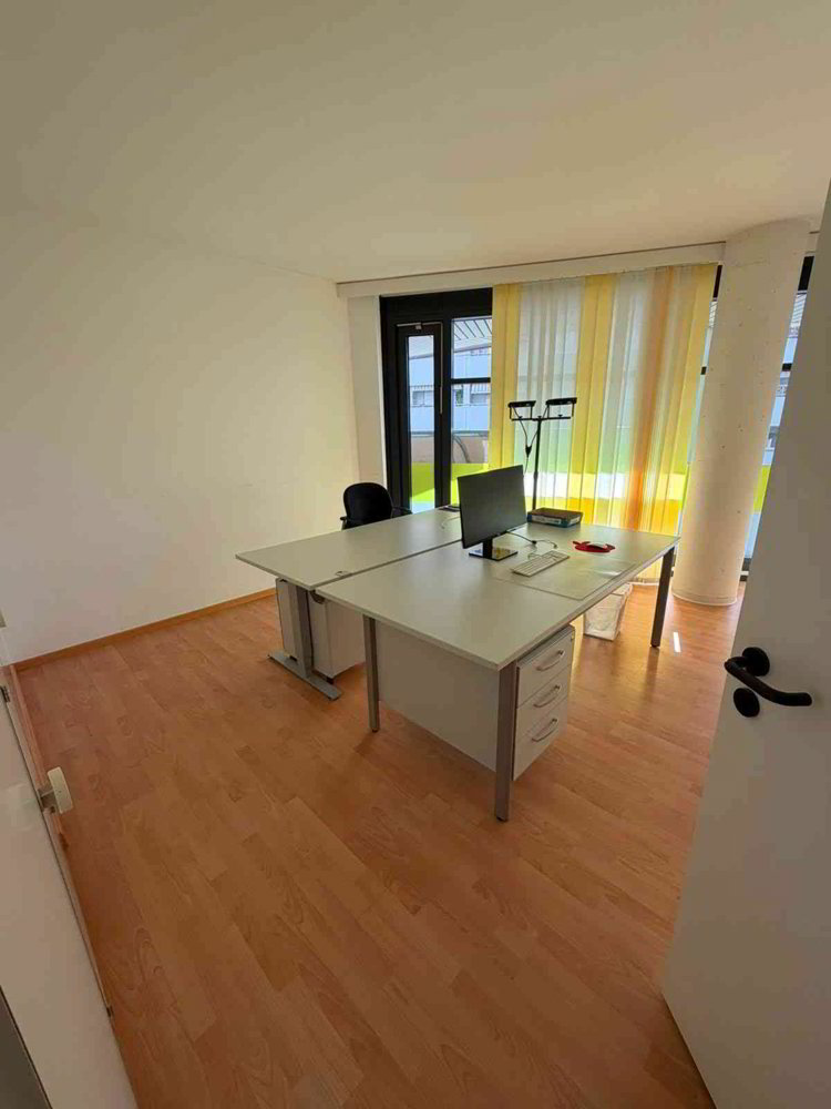 Ufficio & Commercio di 2 locali in affitto a Kriens - immagine 1/5