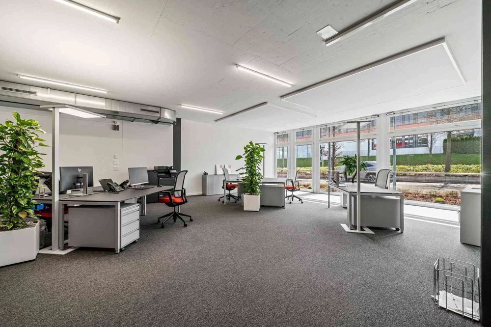 1 rooms Office & Commercial for rent in Hünenberg - image 1/12