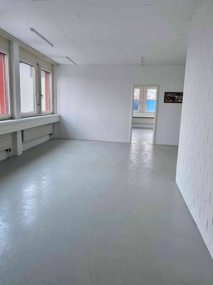 Vielseitig nutzbarer Gewerberaum, grosszügig, mit 4 Einzelräumen - Ansicht 5