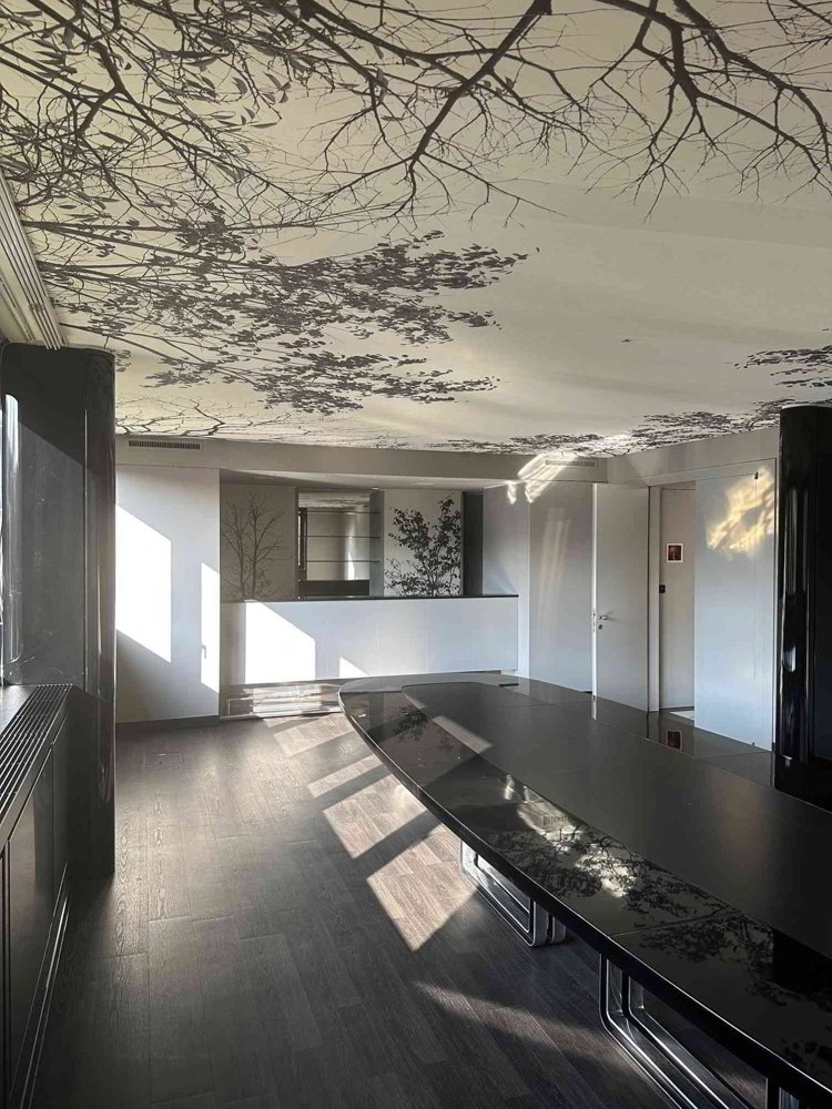 Ufficio & Commercio di 1 locali in affitto a Lugano - immagine 1/9