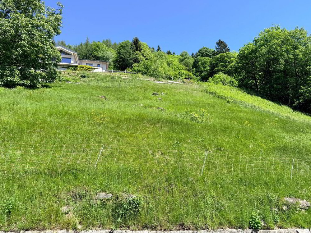 TERRENO EDIFICABILE DI 1237 MQ CON VISTA PANORAMICA - ARANNO