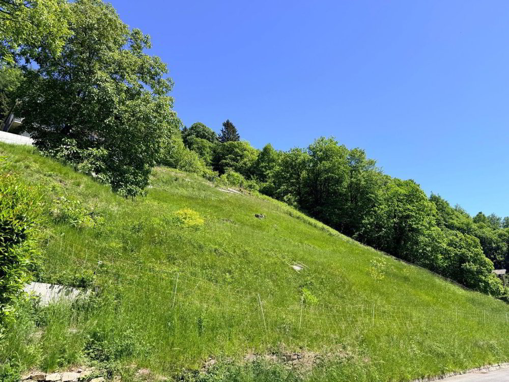 TERRENO EDIFICABILE DI 1237 MQ CON VISTA PANORAMICA - ARANNO - Ansicht 2