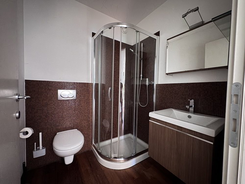 4.5 rooms Apartment to buy in Pregassona - image 1/9