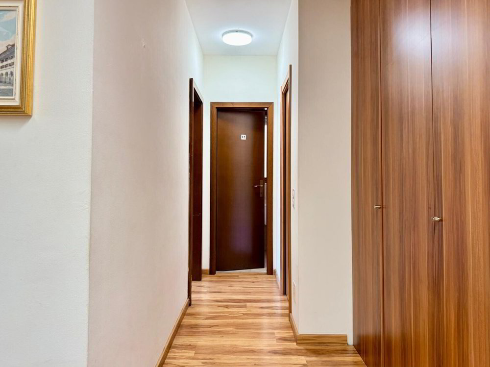 2 rooms Office & Commercial for rent in Lugano - image 1/8