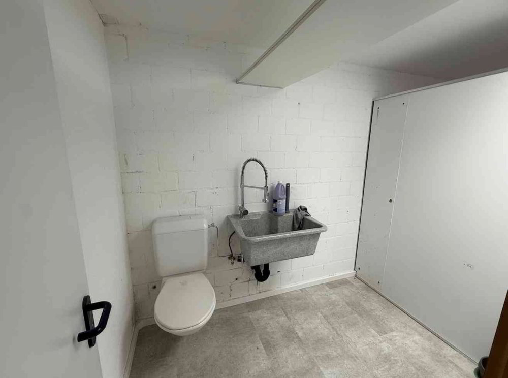 1 rooms Office & Commercial to buy in Seengen - image 1/7