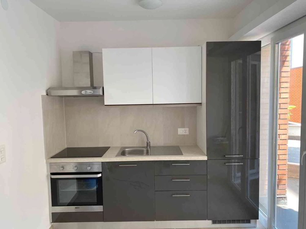 Appartement 1.5 pièces à louer à Paradiso - image 1/5