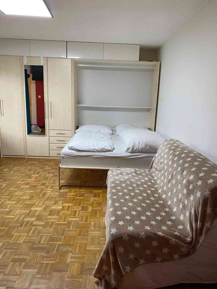 1 rooms Apartment for rent in Wildhaus - image 1/9