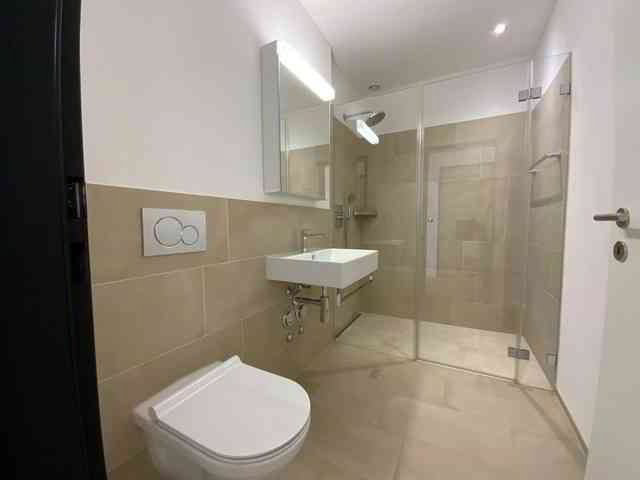 4.5 rooms Apartment for rent in Opfikon - image 1/10