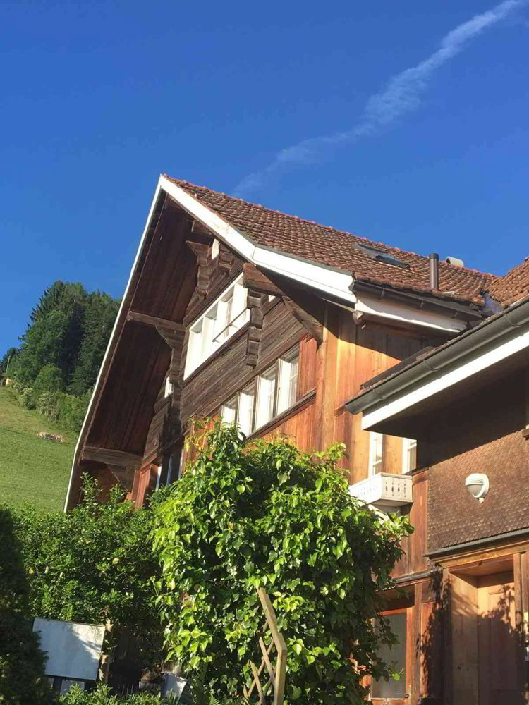 5.5 rooms House to buy in Wolfhalden - image 1/10