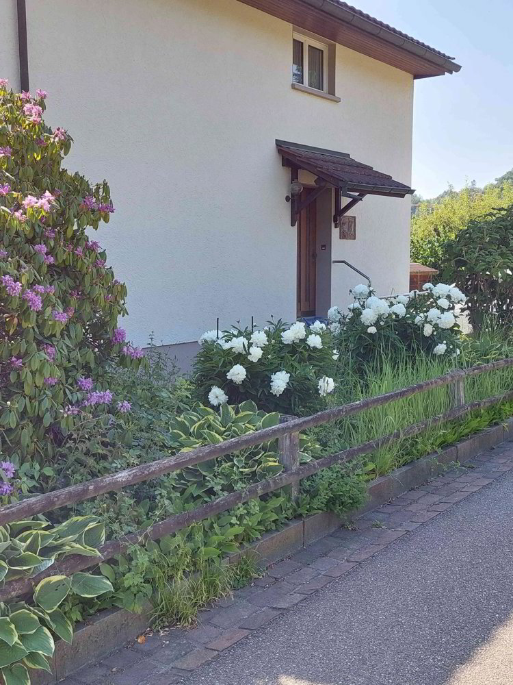 Haus – Biel-Benken BL, Bezirk Arlesheim - Ansicht 3