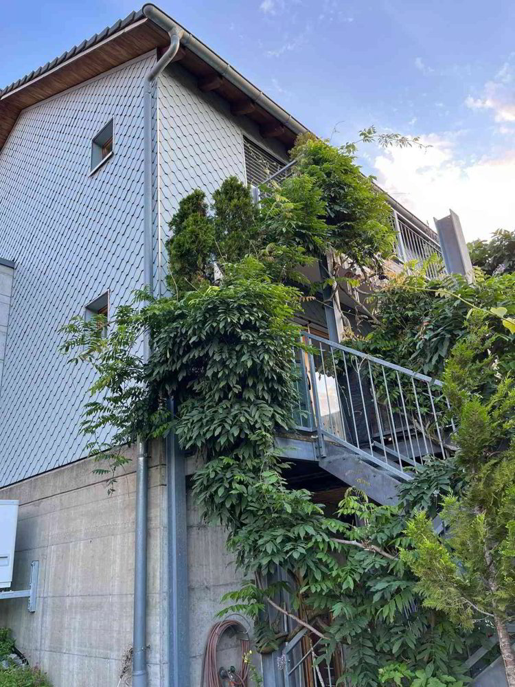 5.5 rooms House to buy in Reute AR - image 1/13