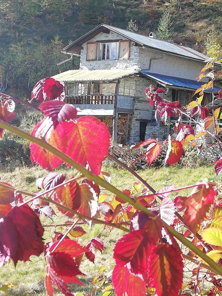 Haus – Intragna - Ansicht 2