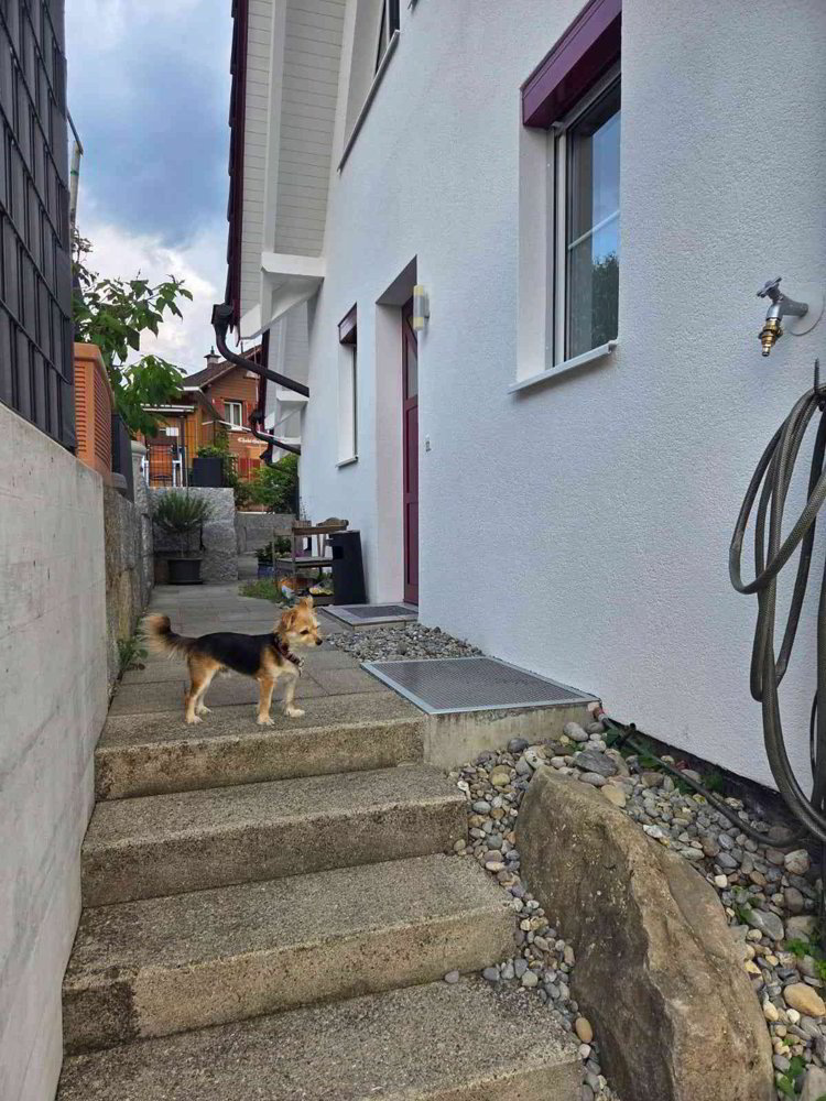 4.5 Zimmer Haus zu vermieten in Altstätten SG - Bild 1/13
