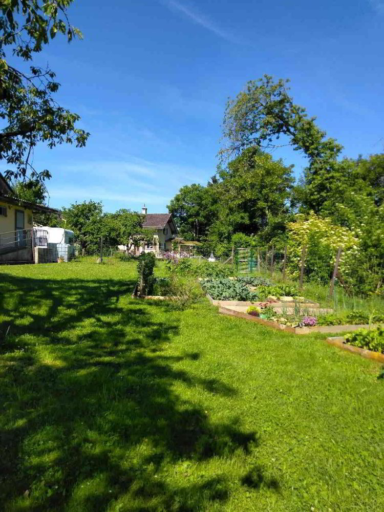 5.5 rooms House for rent in Kirchberg SG - image 1/13