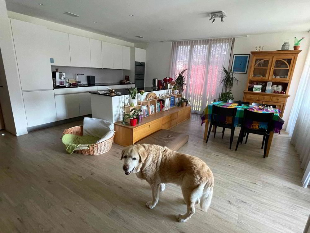 Wohnung – Ibach - Ansicht 4